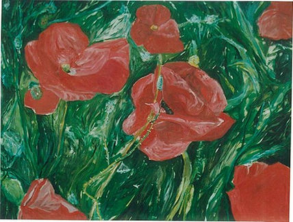 Amapolas
