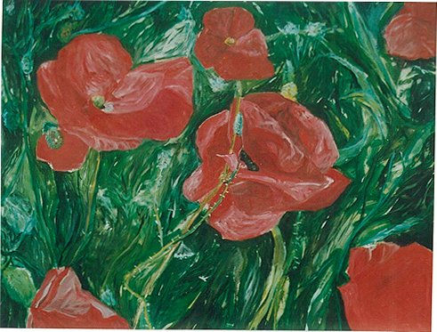 Amapolas 