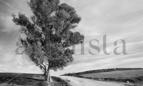 Paisajes