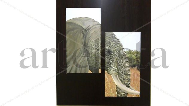 EL MUNDO REFLEJADO EN LA MIRADA DE UN ELEFANTE