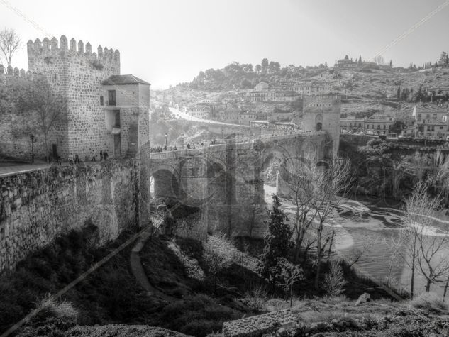 Puente de Alcántara Architecture and Interiorism Black and White (Digital)