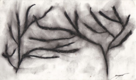 Woods on a