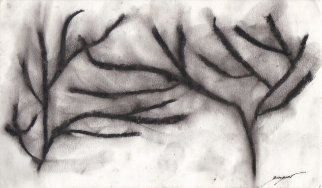 woods on a Charcoal