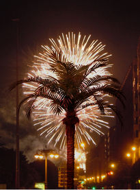 Palm fireworks