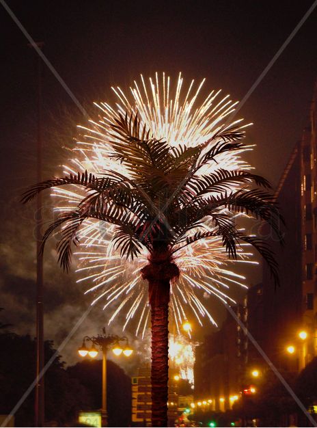 Palm fireworks