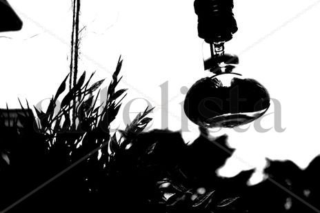 Luz