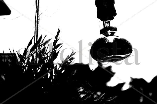 Luz
