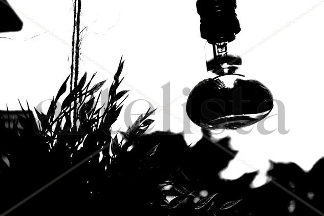 Luz Conceptual/Abstracto Blanco y Negro (Digital)