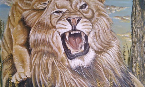 animales