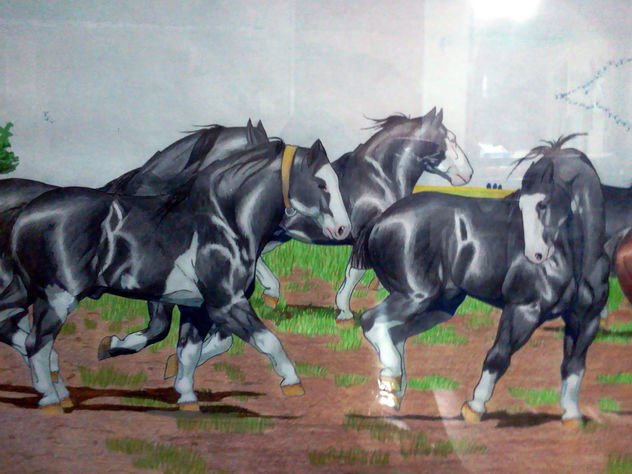 Tropilla de picasos pampas
