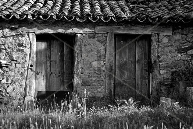 Puertas #2 Arquitectura e interiorismo Blanco y Negro (Digital)