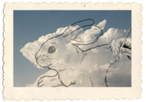 Bunny cloud