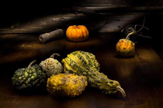 Calabazas 2 Bodegones Color (Digital)