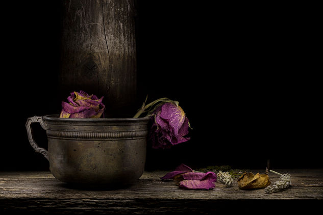 Rosas Still lifes Color (Digital)