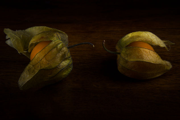 Physalis Bodegones Color (Digital)