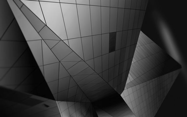 Musée des Confluences 2 Arquitectura e interiorismo Blanco y Negro (Digital)