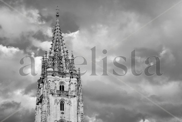 La catedral Architecture and Interiorism Black and White (Digital)