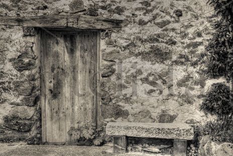 Puerta #4