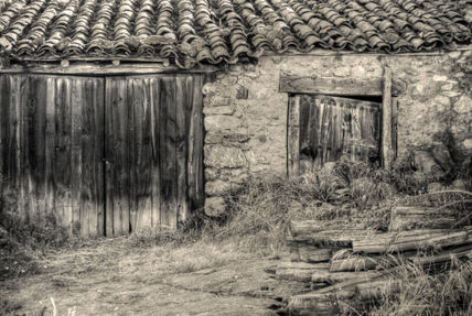 Puerta #5