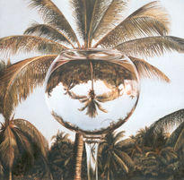 Palmera de Agua