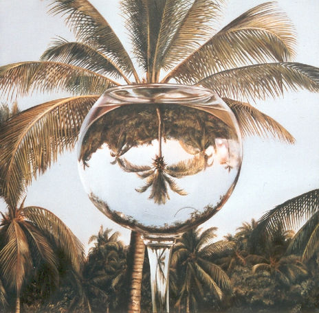 Palmera de Agua