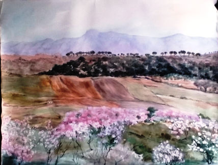 Vista de ronda