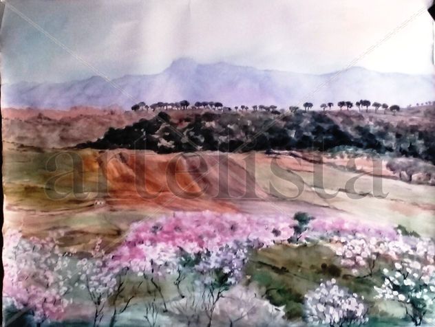 VISTA DE RONDA