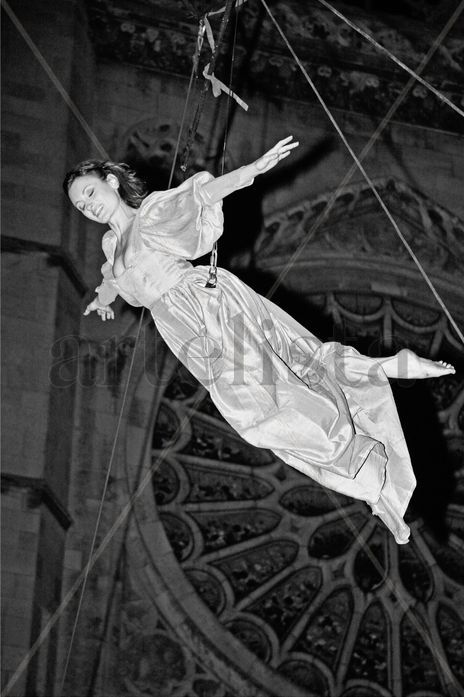 Volando 1