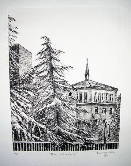 Nieve en el Seminario