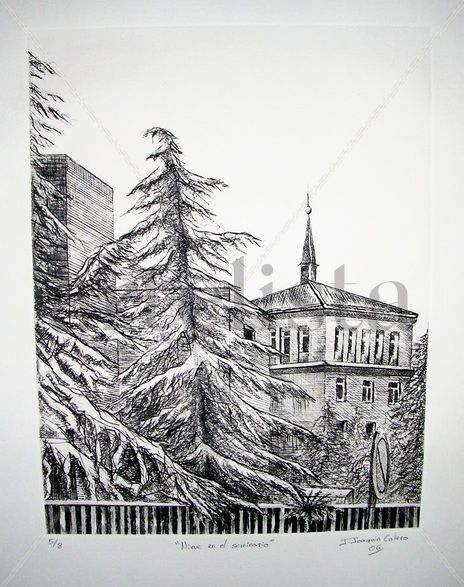 Nieve en el Seminario