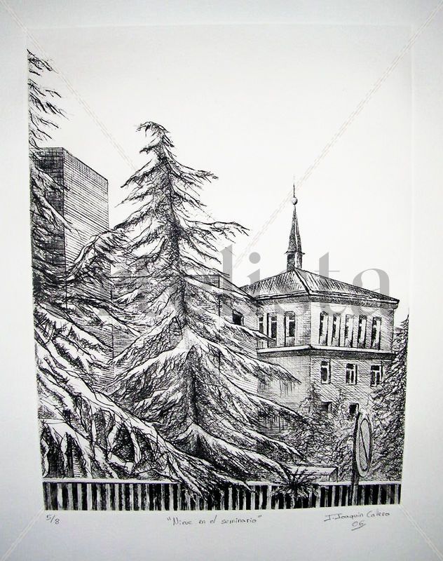 Nieve en el Seminario