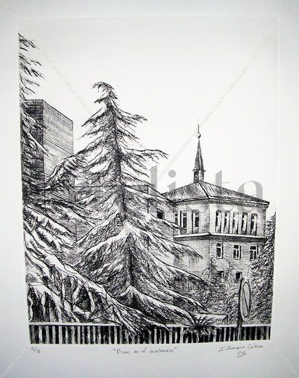 Nieve en el Seminario Etching Process