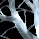 Carballo thumbnail 2