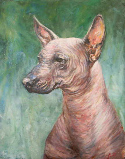 Maizal Oil Canvas Animals