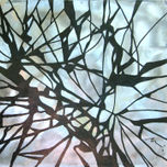 Telaraña thumbnail 2