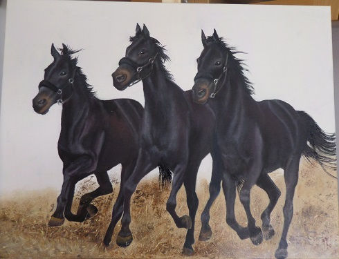 caballos Oil Canvas Animals