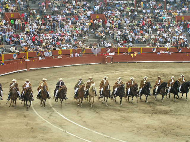 CABALLO DE PASO Otras temáticas Color (Digital)