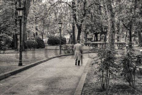 El paseo