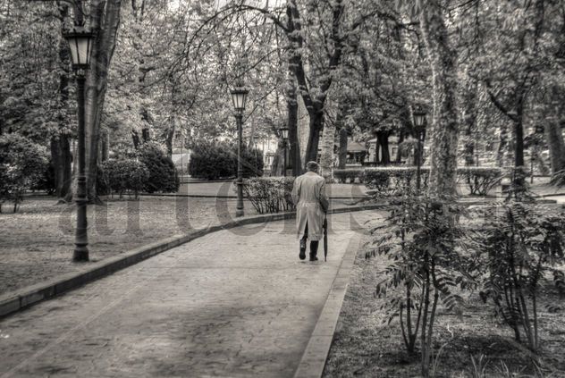 El paseo