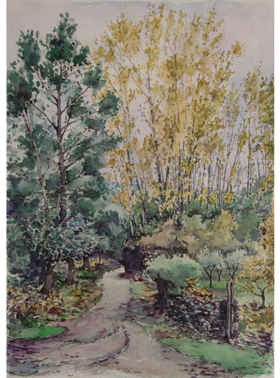 Camino en la Sierra Watercolour Paper Landscaping