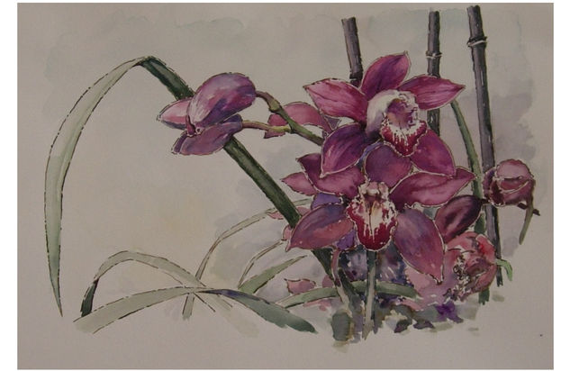 Orquídeas Watercolour Paper Still Life Paintings