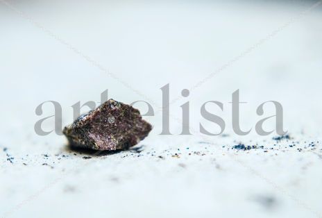 Earthcrumb