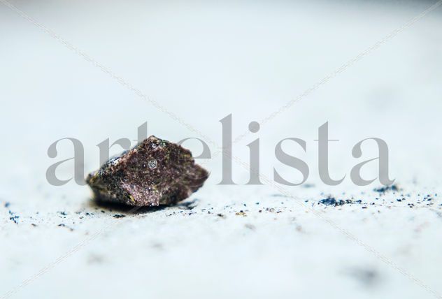 Earthcrumb