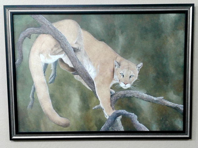 Puma - Grandes Felinos Gouache Papel Animales