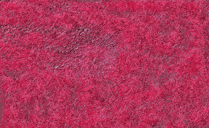 Fiber red