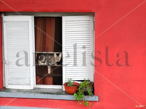 El Intruso