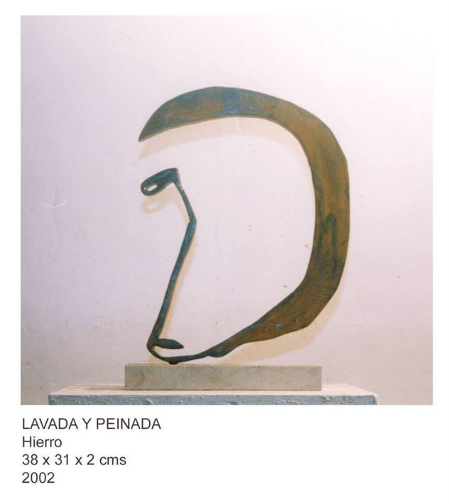 LAVADA Y PEINADA