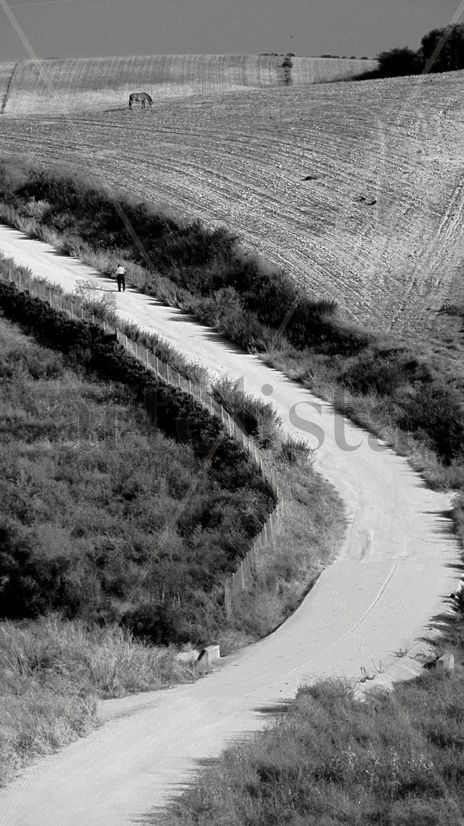 El camino