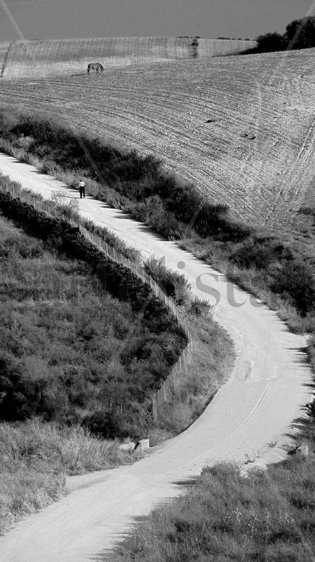 El camino