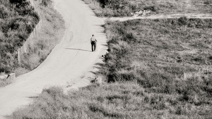 El `paseo de la tarde